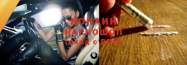 сатива Краснослободск