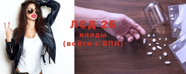 сатива Краснослободск