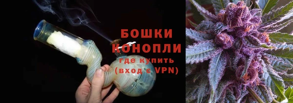 сатива Краснослободск