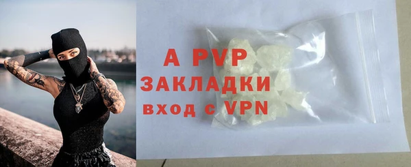 сатива Краснослободск