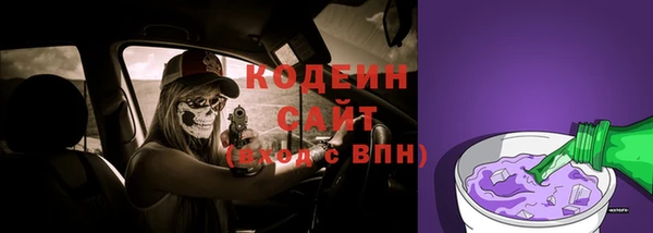 сатива Краснослободск