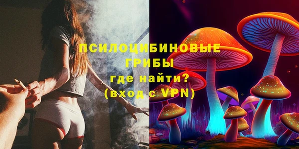 сатива Краснослободск