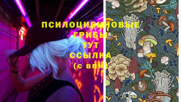 амф Краснотурьинск