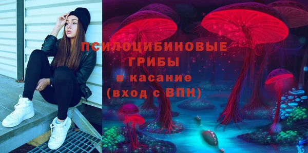сатива Краснослободск