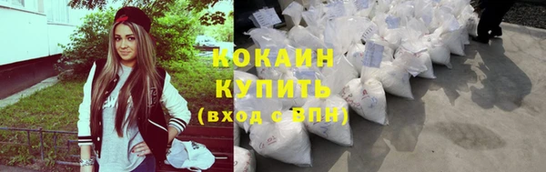 сатива Краснослободск